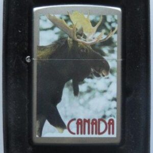 Canada Moose