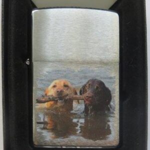 Two Labradors